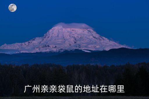 廣州親親袋鼠的地址在哪里