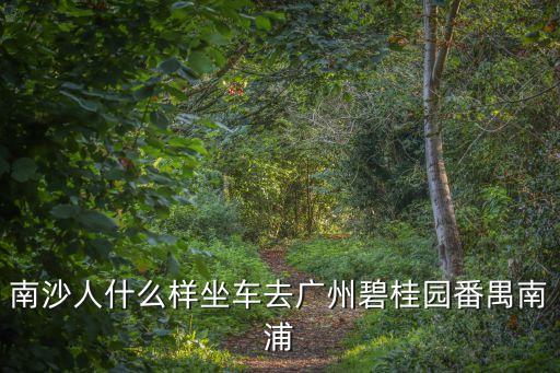 南沙人什么樣坐車去廣州碧桂園番禺南浦