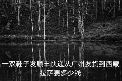一雙鞋子發順豐快遞從廣州發貨到西藏拉薩要多少錢