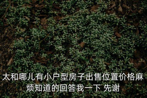 廣州太和公寓出售，廣州市白云區太和鎮大源村田中心西路二借44號一樓