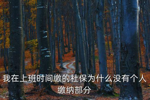 我在上班時間繳的社保為什么沒有個人繳納部分
