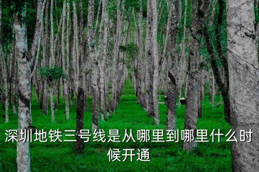 深圳地鐵3號線車廂圖片，深圳地鐵三號線是從哪里到哪里什么時候開通
