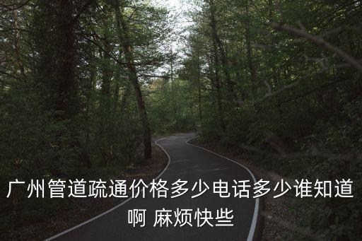 廣州管道疏通價格多少電話多少誰知道啊 麻煩快些