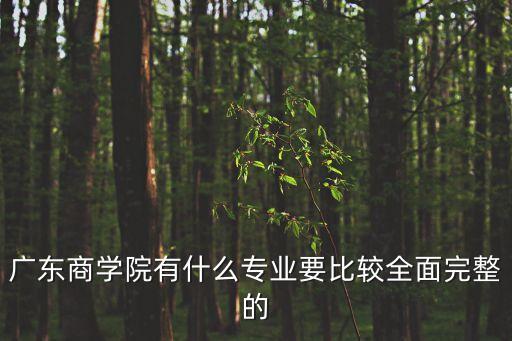 廣州商學院專業020，廣東商學院華商學院2b有什么專業