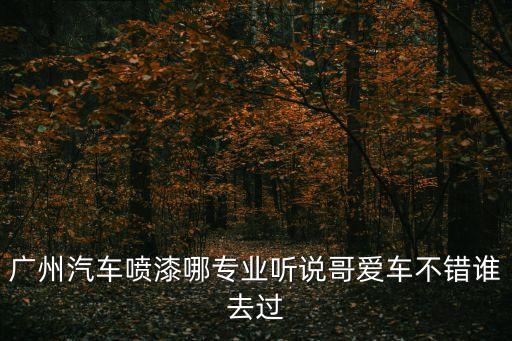 廣州汽車噴漆哪專業聽說哥愛車不錯誰去過