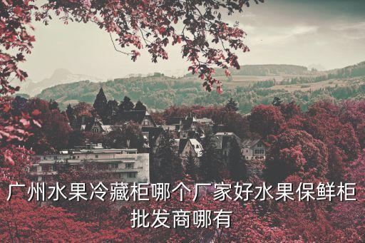 廣州水果冷藏柜哪個廠家好水果保鮮柜批發商哪有