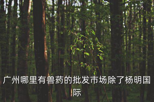 廣州哪里有獸藥的批發市場除了楊明國際