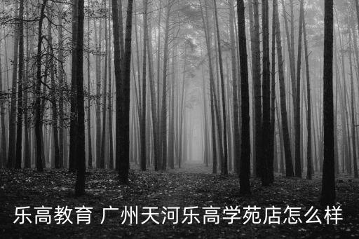 樂高教育 廣州天河樂高學苑店怎么樣