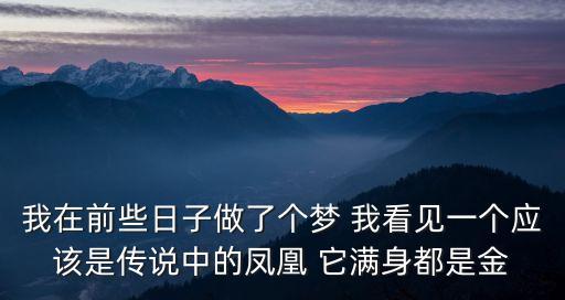 我在前些日子做了個夢 我看見一個應該是傳說中的鳳凰 它滿身都是金