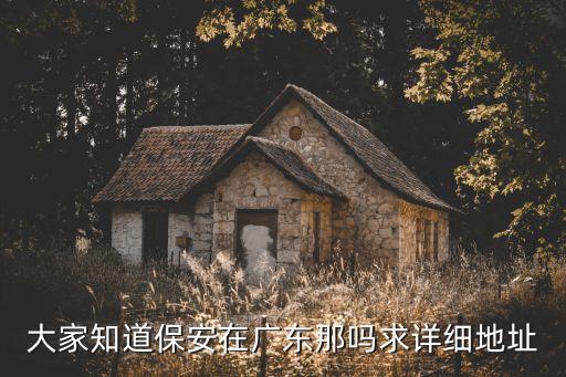 深圳華鵬保安公司在哪，深圳華鵬公司是個什么公司