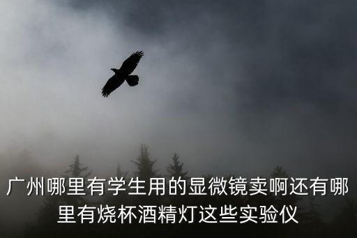 廣州哪里有學(xué)生用的顯微鏡賣啊還有哪里有燒杯酒精燈這些實(shí)驗(yàn)儀