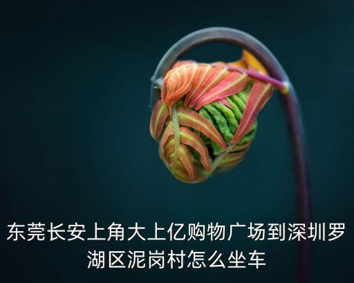東莞長安上角大上億購物廣場到深圳羅湖區泥崗村怎么坐車