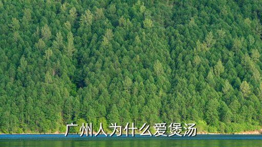 廣州人為什么愛煲湯