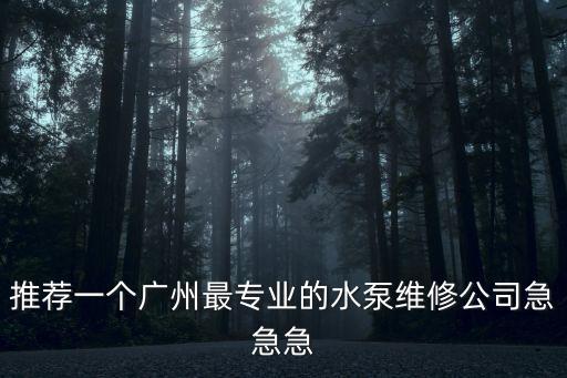 推薦一個(gè)廣州最專業(yè)的水泵維修公司急急急