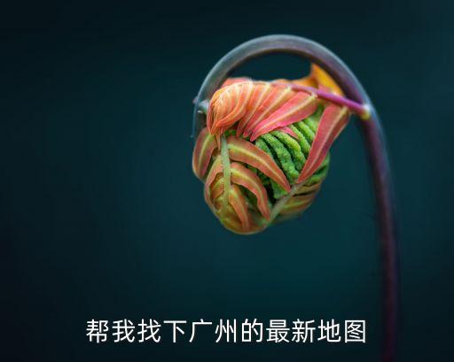 幫我找下廣州的最新地圖