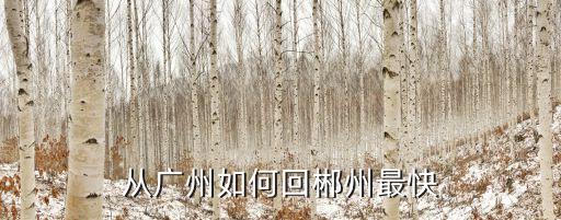 從廣州如何回郴州最快