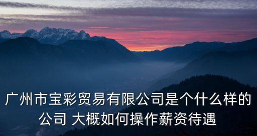 廣州市寶彩貿易有限公司是個什么樣的公司 大概如何操作薪資待遇