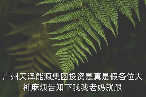 廣州市天澤投資，天澤能源集團有限公司在廣州有多少分公司想了解一下搜索了好