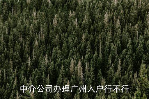 中介公司辦理廣州入戶行不行