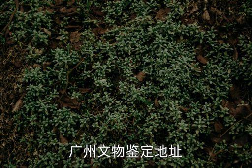 廣州物證鑒定中心，請問在廣州哪里有古董鑒定的啊