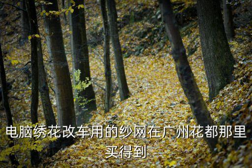 繡花紗廣州，電腦繡花改車用的紗網在廣州花都那里買得到