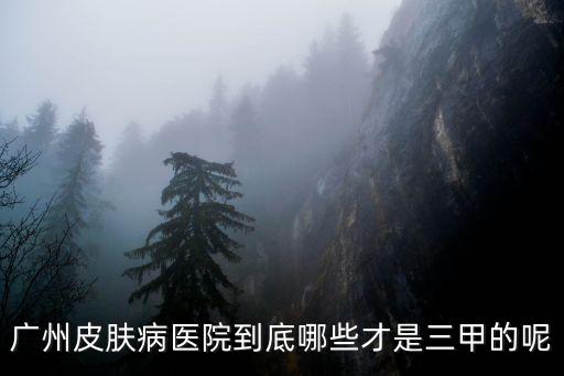 廣州皮膚病醫院到底哪些才是三甲的呢