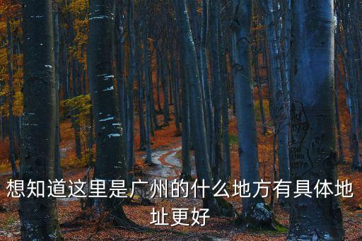 想知道這里是廣州的什么地方有具體地址更好