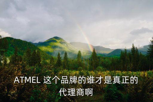 ATMEL 這個品牌的誰才是真正的代理商啊