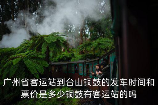 廣州省客運(yùn)站到臺山銅鼓的發(fā)車時間和票價是多少銅鼓有客運(yùn)站的嗎