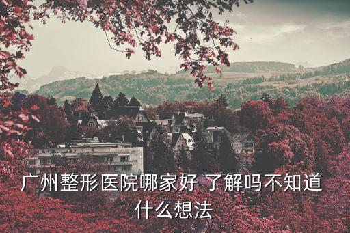 廣州整形醫院哪家好 了解嗎不知道 什么想法
