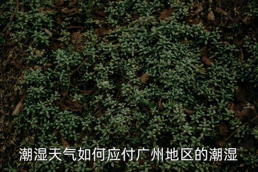潮濕天氣如何應付廣州地區的潮濕