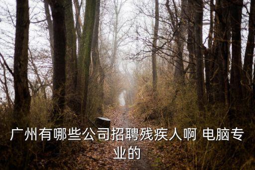 廣州有哪些公司招聘殘疾人啊 電腦專業的