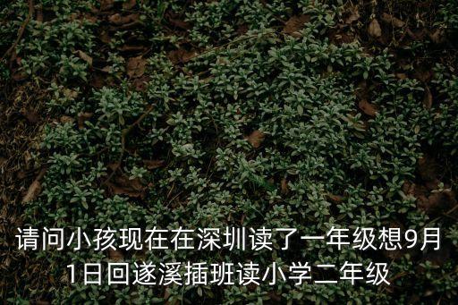 2020年深圳小學(xué)轉(zhuǎn)學(xué)插班流程，小學(xué)轉(zhuǎn)學(xué)具體流程是怎樣的