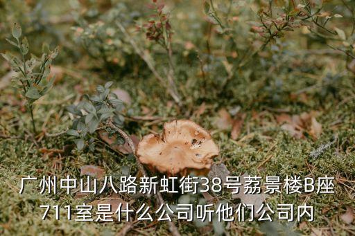 廣州特斯豹，廣州中山八路新虹街38號荔景樓B座711室是什么公司聽他們公司內