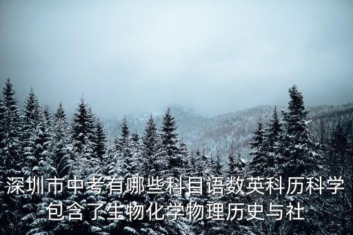 深圳市中考有哪些科目語數英科歷科學包含了生物化學物理歷史與社