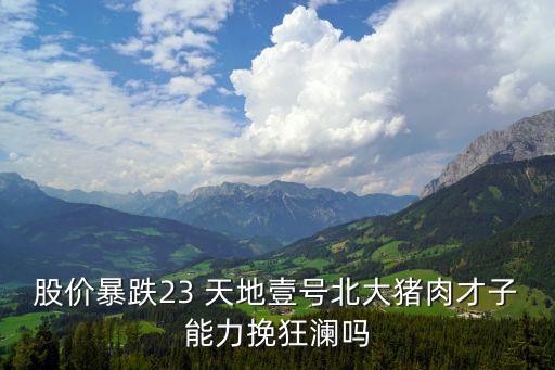 股價暴跌23 天地壹號北大豬肉才子能力挽狂瀾嗎