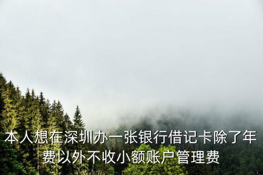本人想在深圳辦一張銀行借記卡除了年費以外不收小額賬戶管理費