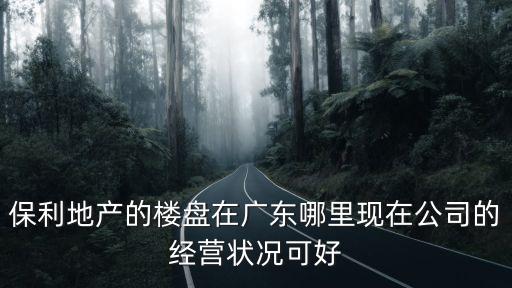廣州獅嶺保利地產圖片，保利地產的樓盤在廣東哪里現在公司的經營狀況可好