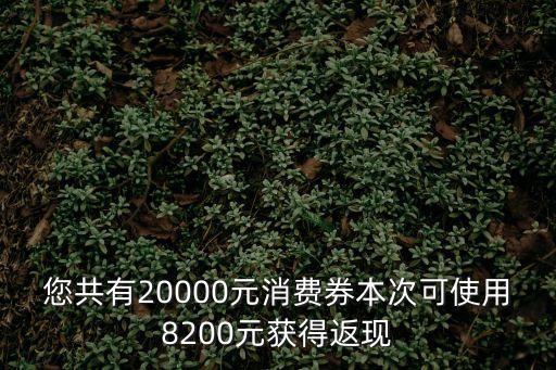 深圳 刺激消費 羅湖 東門代金券，今天在深圳羅湖東門步行街被一個推銷的拉進去說是免費得禮物