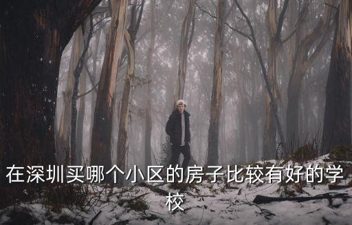 在深圳買哪個小區的房子比較有好的學校