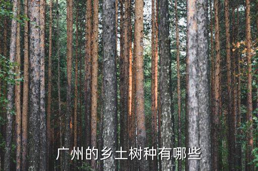 廣州的鄉(xiāng)土樹(shù)種有哪些