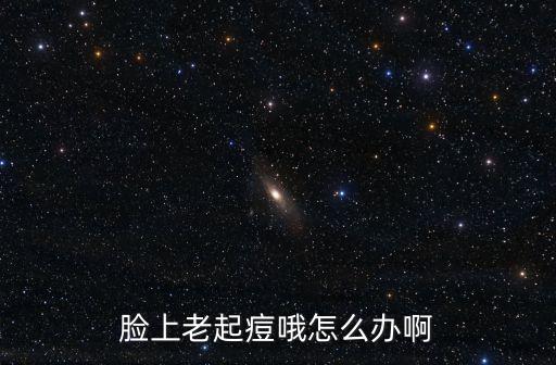 廣州上城建設，diy蛋糕是啥