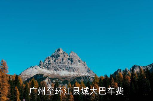 廣州至環(huán)江縣城大巴車費(fèi)