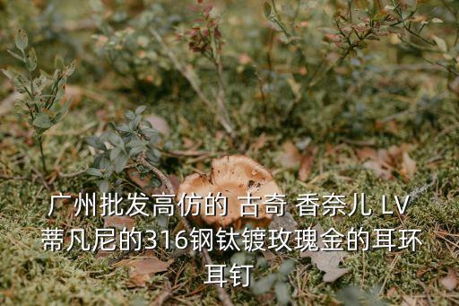 廣州批發高仿的 古奇 香奈兒 LV 蒂凡尼的316鋼鈦鍍玫瑰金的耳環耳釘