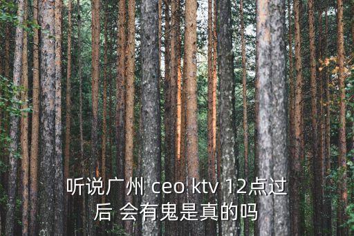 廣州市荔灣區(qū)CEOktv，廣州葛newway CEOktv mini房有幾大