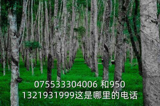 075533304006 和9501321931999這是哪里的電話
