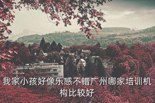 我家小孩好像樂感不錯廣州哪家培訓機構比較好