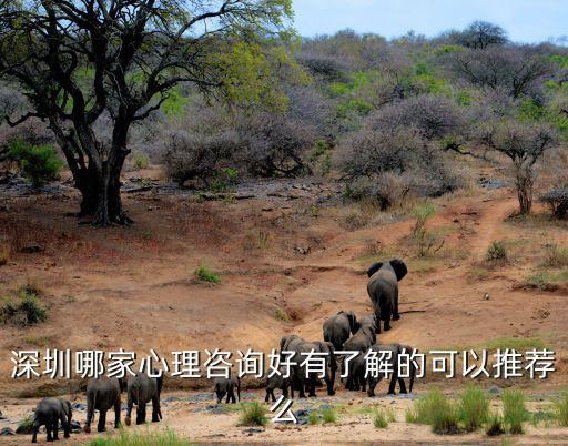 深圳心博士心理疏導(dǎo)首推助力美好，寶安哪里有心理咨詢肯定去心博士