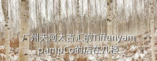 廣州天河太古匯的TiffanyampampCo的店在幾樓