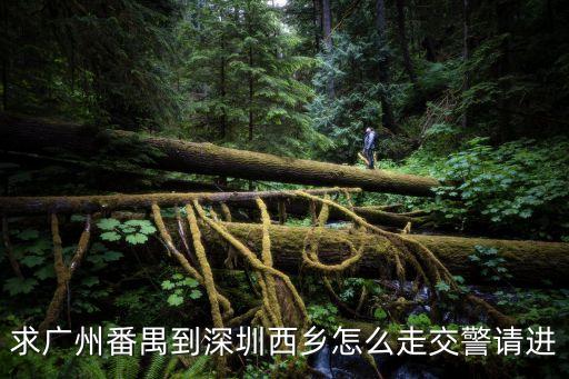 求廣州番禺到深圳西鄉怎么走交警請進